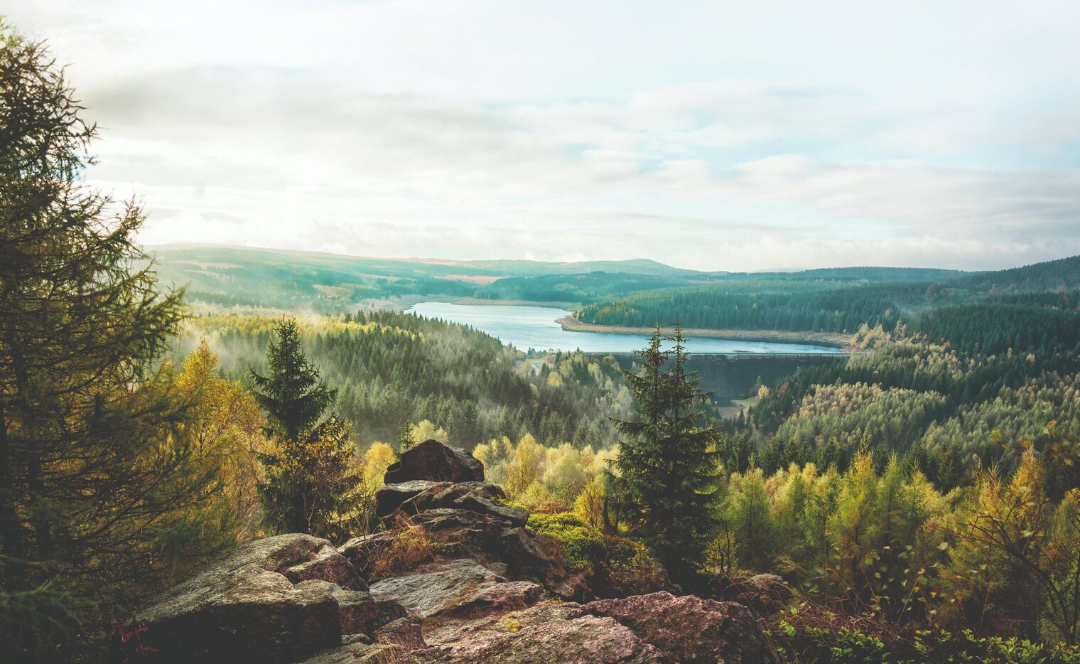 Blick von einem Felsen über bewaldete Höhen des Erzgebirges auf einen See