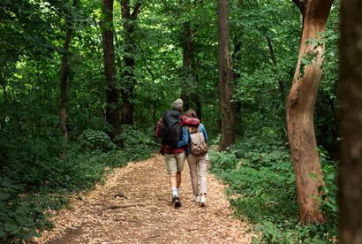 Zwei Wanderer mit Rucksäcken auf einem Waldweg