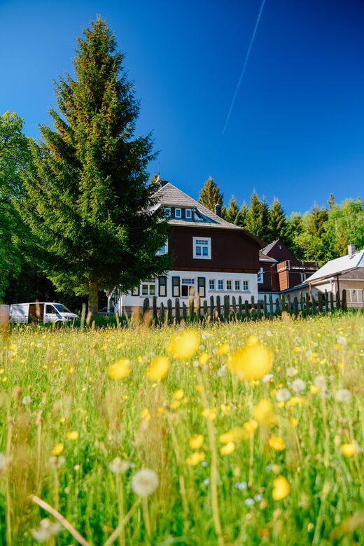 Haus mit dunkler Schindelfassade und grünen Fensterläden hinter einer blühenden Wiese, daneben eine hohe Fichte